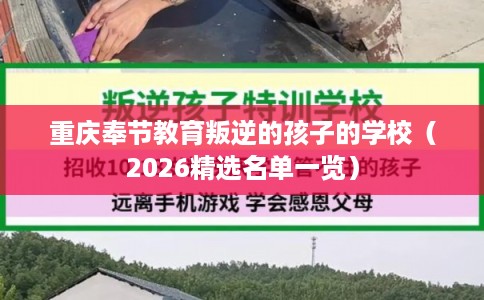 重庆奉节教育叛逆的孩子的学校（2026精选名单一览）