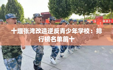 十堰张湾改造逆反青少年学校：排行榜名单前十
