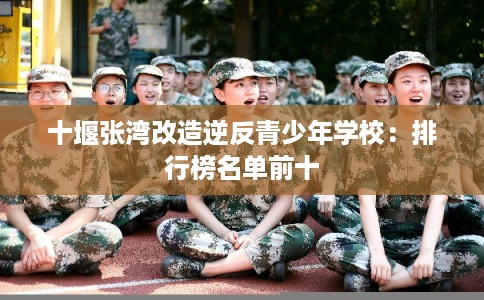 十堰张湾改造逆反青少年学校：排行榜名单前十