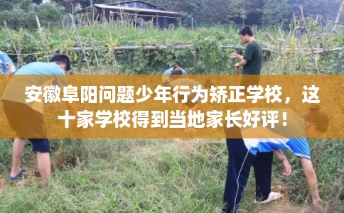安徽阜阳问题少年行为矫正学校，这十家学校得到当地家长好评！