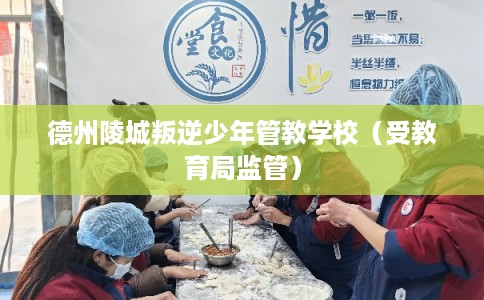 德州陵城叛逆少年管教学校（受教育局监管）
