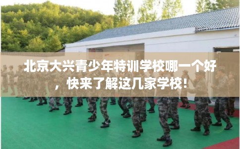 北京大兴青少年特训学校哪一个好，快来了解这几家学校!