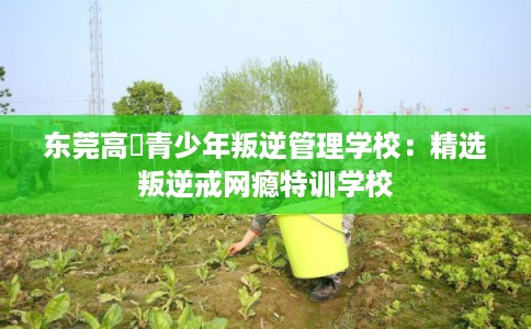 东莞高埗青少年叛逆管理学校：精选叛逆戒网瘾特训学校