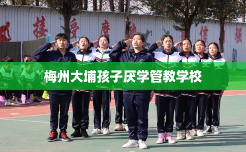 梅州大埔孩子厌学管教学校