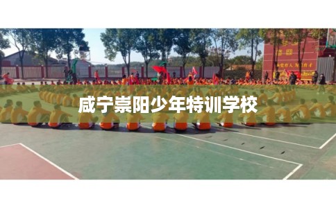 咸宁崇阳少年特训学校