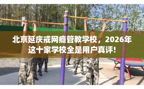 北京延庆戒网瘾管教学校，2026年这十家学校全是用户真评!