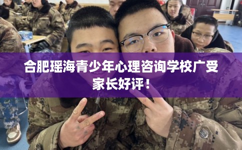 合肥瑶海青少年心理咨询学校广受家长好评！