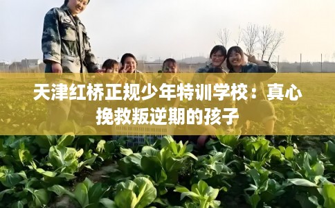 天津红桥正规少年特训学校：真心挽救叛逆期的孩子