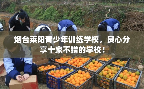 烟台莱阳青少年训练学校,良心分享十家不错的学校! 烟台莱阳青少年训练学校,良心分享十家不错的学校!