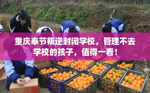 重庆奉节叛逆封闭学校，管理不去学校的孩子，值得一看！