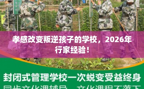 孝感改变叛逆孩子的学校，2026年行家经验！