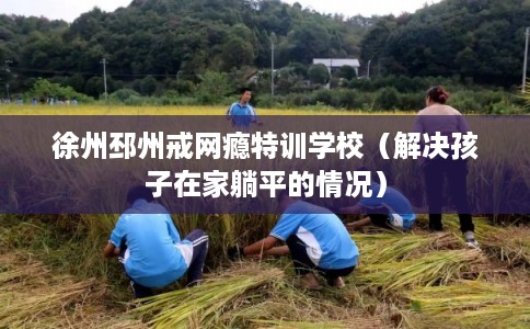 徐州邳州戒网瘾特训学校（解决孩子在家躺平的情况）