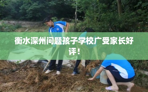 衡水深州问题孩子学校广受家长好评！