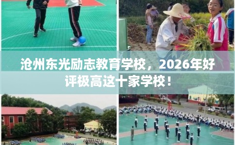 沧州东光励志教育学校，2026年好评极高这十家学校！