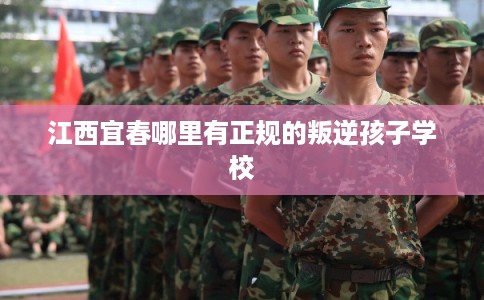 江西宜春哪里有正规的叛逆孩子学校