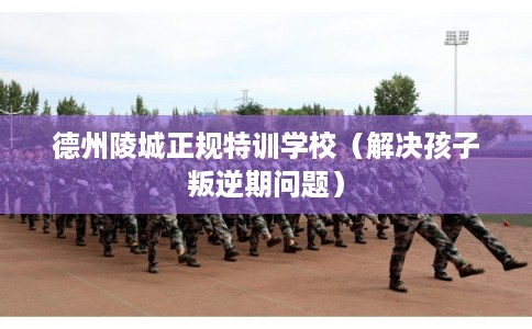 德州陵城正规特训学校（解决孩子叛逆期问题）