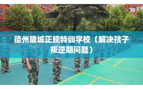 德州陵城正规特训学校（解决孩子叛逆期问题）