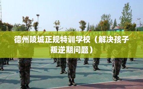 德州陵城正规特训学校（解决孩子叛逆期问题）