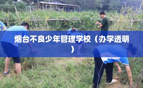 烟台不良少年管理学校(办学透明) 烟台不良少年管理学校(办学透明)