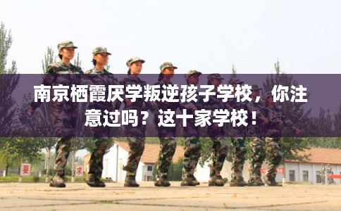 南京栖霞厌学叛逆孩子学校,你注意过吗?这十家学校! 南京栖霞厌学叛逆孩子学校,你注意过吗?这十家学校!