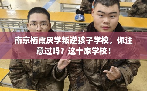 南京栖霞厌学叛逆孩子学校,你注意过吗?这十家学校! 南京栖霞厌学叛逆孩子学校,你注意过吗?这十家学校!