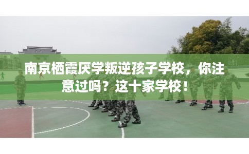 南京栖霞厌学叛逆孩子学校，你注意过吗？这十家学校！