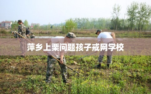 萍乡上栗问题孩子戒网学校