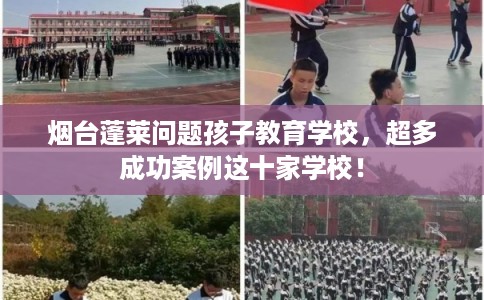烟台蓬莱问题孩子教育学校，超多成功案例这十家学校！