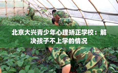 北京大兴青少年心理矫正学校：解决孩子不上学的情况
