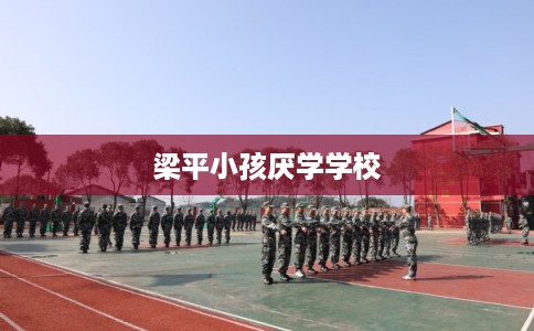 梁平小孩厌学学校 梁平小孩厌学学校