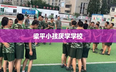 梁平小孩厌学学校 梁平小孩厌学学校