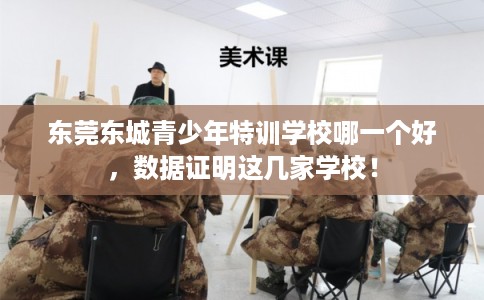 东莞东城青少年特训学校哪一个好，数据证明这几家学校！