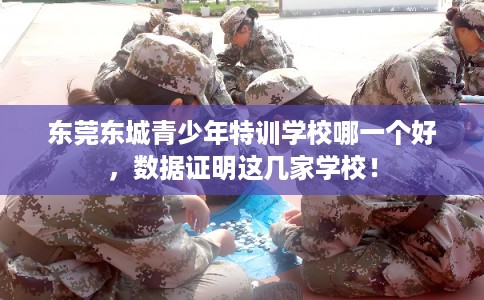 东莞东城青少年特训学校哪一个好，数据证明这几家学校！