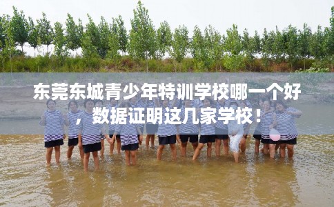东莞东城青少年特训学校哪一个好，数据证明这几家学校！