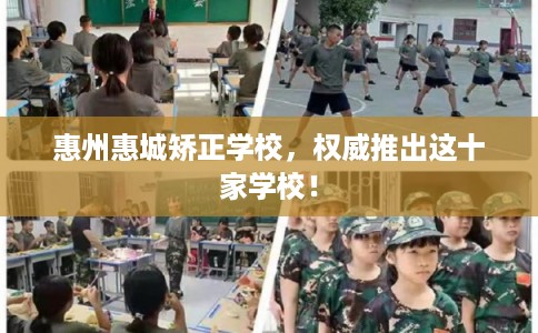 惠州惠城矫正学校，权威推出这十家学校！