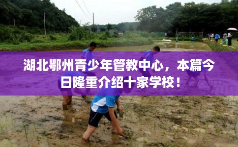 湖北鄂州青少年管教中心，本篇今日隆重介绍十家学校！