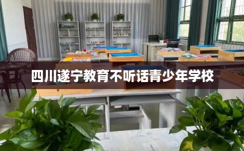 四川遂宁教育不听话青少年学校