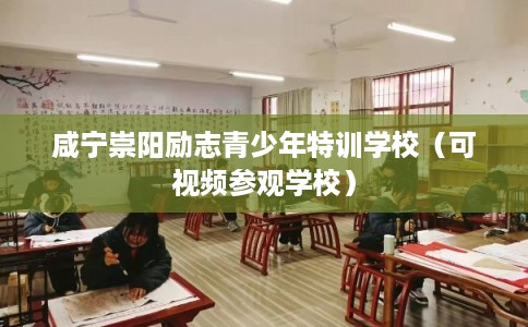 咸宁崇阳励志青少年特训学校（可视频参观学校）