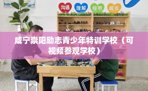 咸宁崇阳励志青少年特训学校（可视频参观学校）