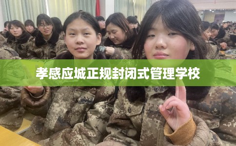 孝感应城正规封闭式管理学校