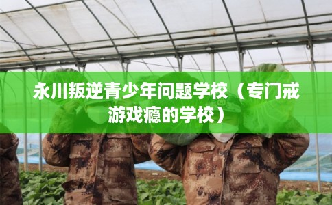 永川叛逆青少年问题学校（专门戒游戏瘾的学校）