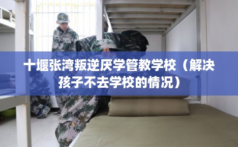 十堰张湾叛逆厌学管教学校（解决孩子不去学校的情况）