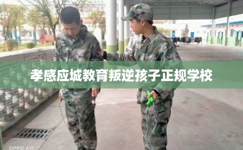 孝感应城教育叛逆孩子正规学校