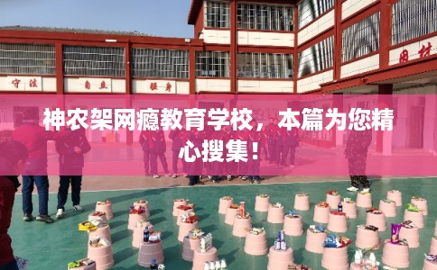 神农架网瘾教育学校，本篇为您精心搜集！