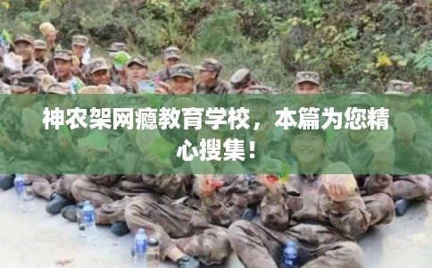 神农架网瘾教育学校，本篇为您精心搜集！